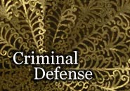 Criminal Defense Law